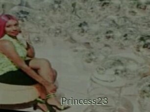 Princess23