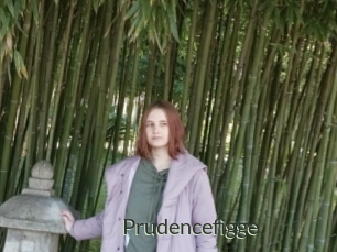 Prudencefigge