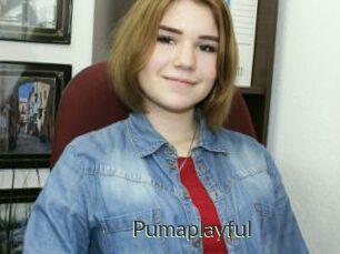 Pumaplayful