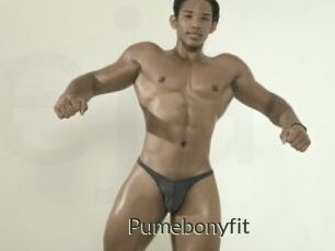 Pumebonyfit