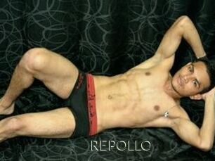 REPOLLO