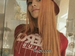 Raaccon