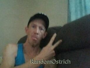 RandomOstrich