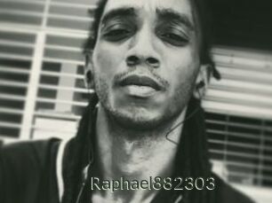 Raphael882303
