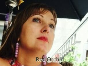 Red_Orchid