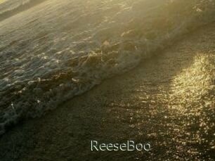 ReeseBoo