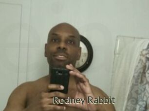 Rodney_Rabbit