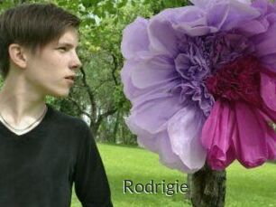 Rodrigie