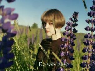 RosaMalet