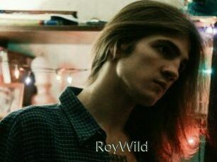RoyWild