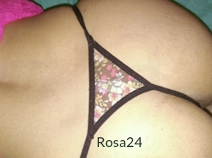 Rosa24