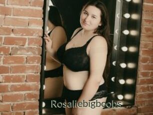 Rosaliebigboobs