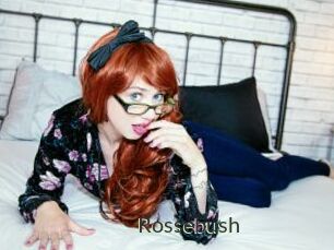 Rossebush