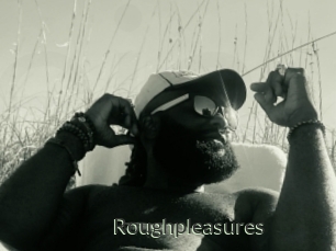 Roughpleasures