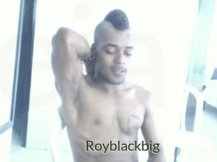 royblackbig Ejaculator