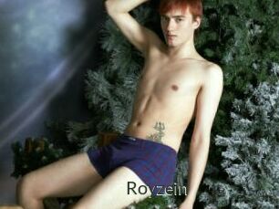Royzein
