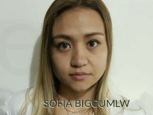 SOFIA_BIGCUMLW