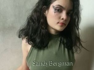 SandyBergman