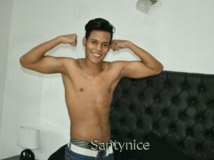 Santynice