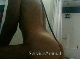 ServiceAnimal