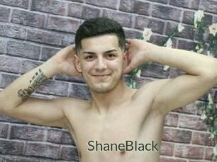 ShaneBlack