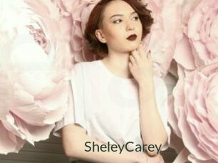 SheleyCarey