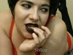 Shiloe