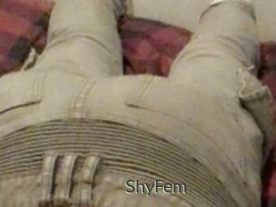 ShyFem