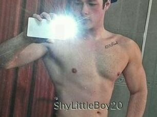 ShyLittleBoy20