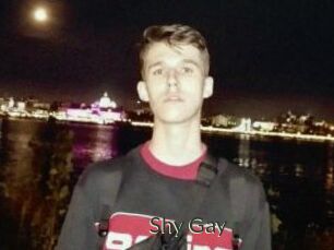 Shy_Gay
