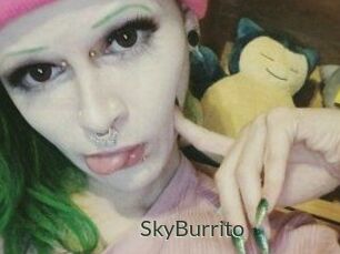 SkyBurrito