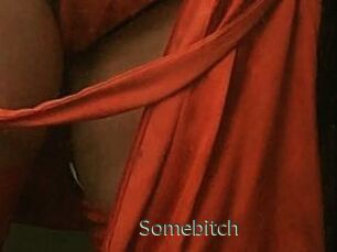 Somebitch