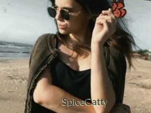 SpiceCatty