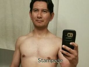 Stampede