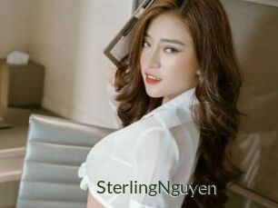 SterlingNguyen
