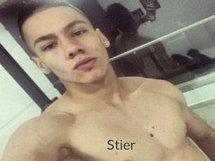 Stier