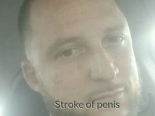 Stroke_of_penis