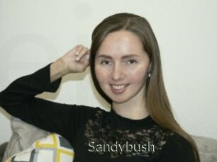 Sandybush