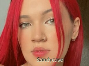 Sandycase