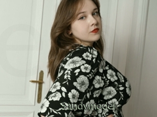 Sandymodel