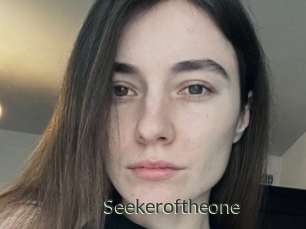 Seekeroftheone
