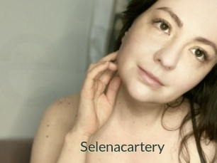 Selenacartery