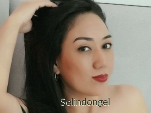 Selindongel