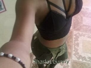 Sharlot_bunny