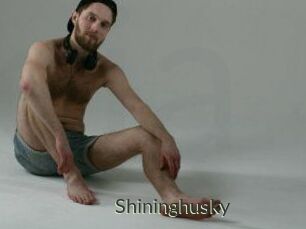 Shininghusky