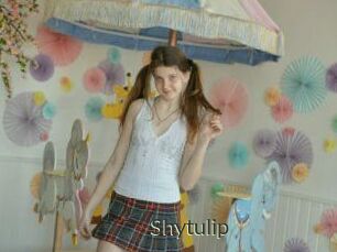 Shytulip