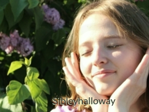 Sibleyhalloway