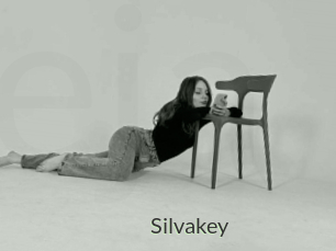 Silvakey
