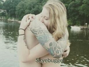 Skyebugger