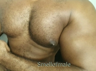 smellofmale Ejaculator